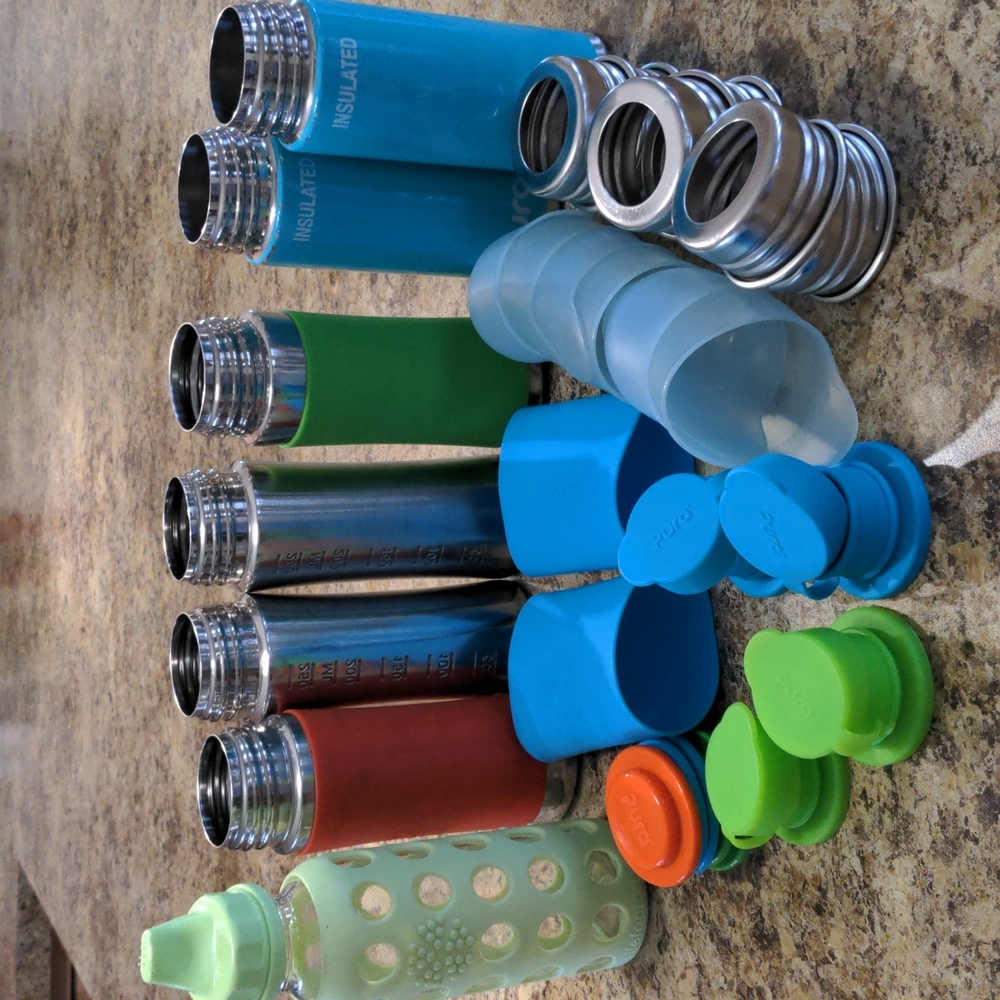 Pura Stainless Bottles